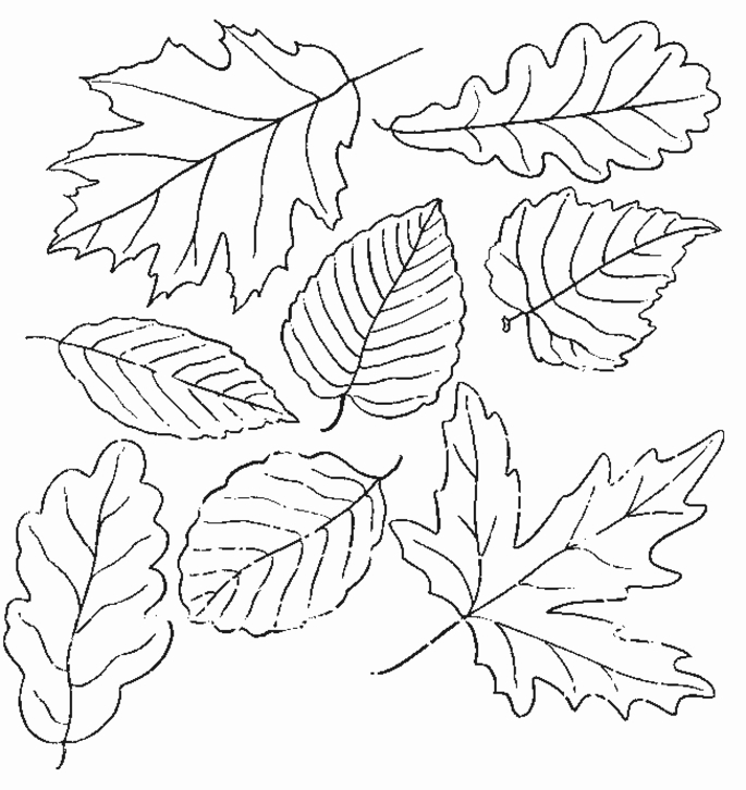 Un paysage d'automne avec des feuilles tombantes et un petit ruisseau