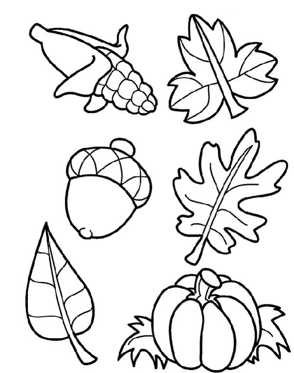 Scène d'automne avec un arbre, des feuilles et des champignons Scène d'automne avec un arbre, des feuilles et des champignons