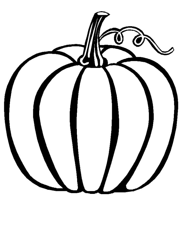 Coloriage d'une scène d'automne avec des arbres et un chemin