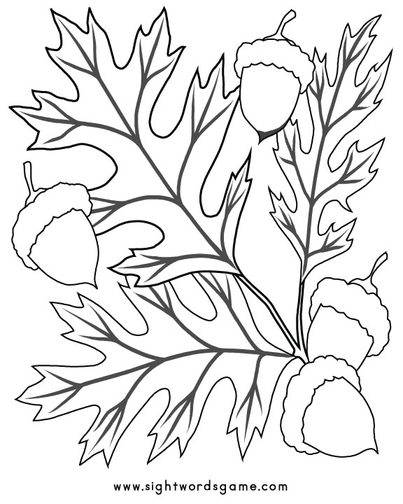 Coloriage d'un paysage d'automne avec des feuilles et des champignons