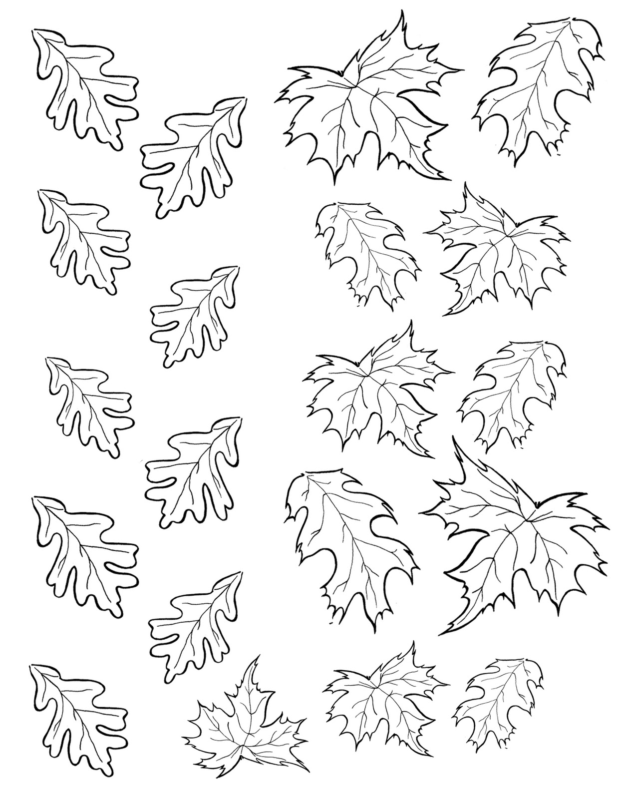 Scène d’automne avec des feuilles tombantes et un décor naturel