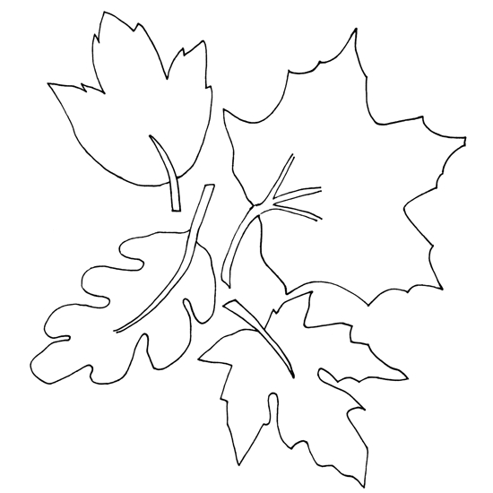 Scène d'automne avec des feuilles tombantes et un paysage naturel