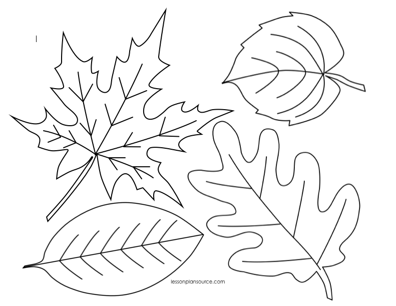 Coloriage d'une scène d'automne avec des arbres et des feuilles tombantes