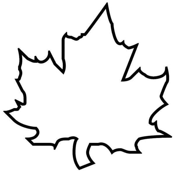 Coloriage d'une scène automnale avec des arbres et des feuilles tombantes