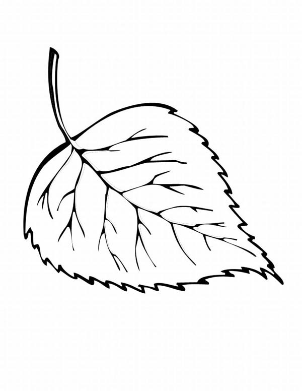 Coloriage d'un paysage d'automne avec des arbres et des feuilles tombantes