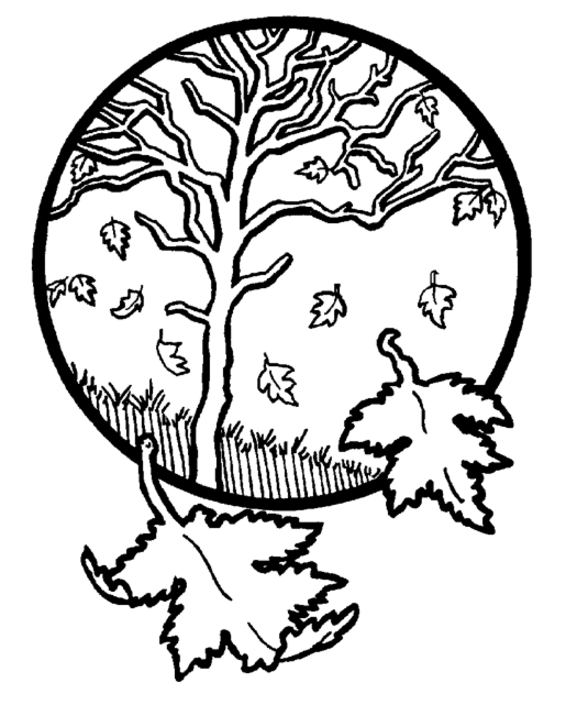 Scène d'automne avec un arbre et des feuilles tombantes