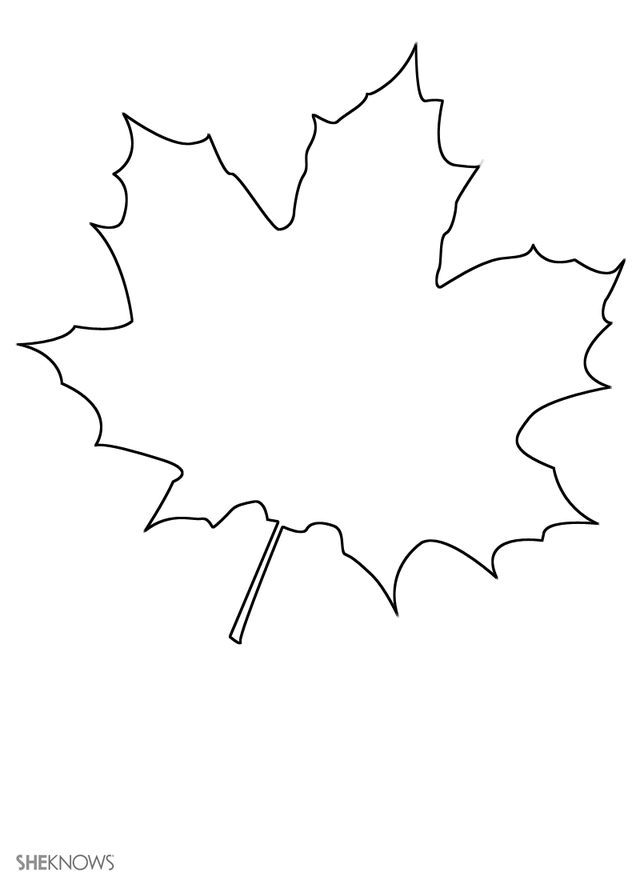 Scène d'automne avec des arbres, des feuilles et une citrouille