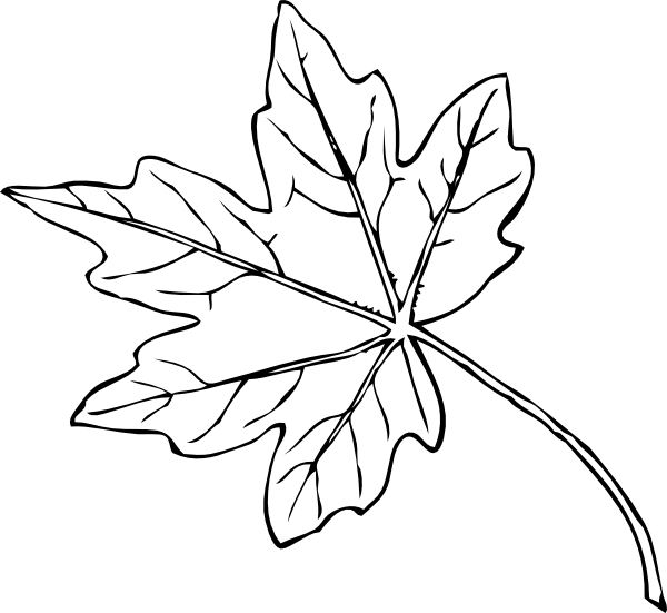 Scène d'automne avec un écureuil et des feuilles tombantes