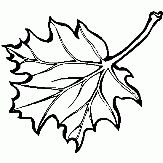 Coloriage d'une scène d'automne avec des arbres et des feuilles tombantes