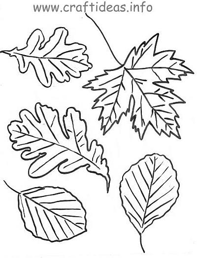 Scène d'automne avec un arbre, des feuilles et un écureuil