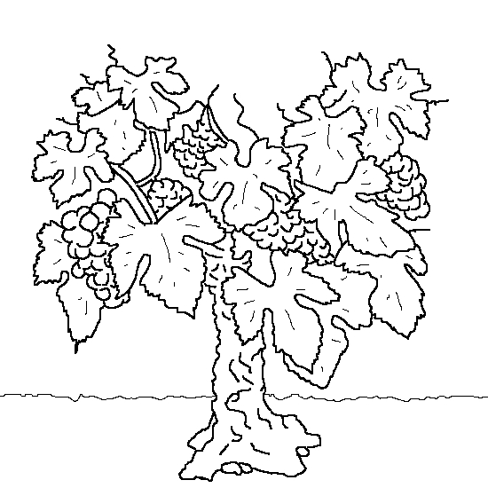 Scène d'automne avec un arbre et des feuilles tombantes