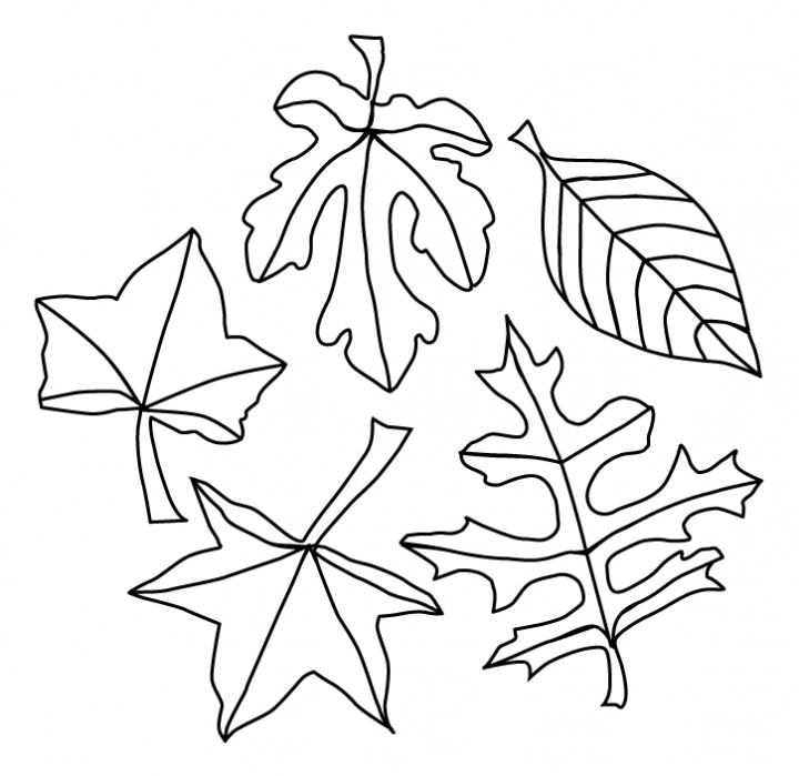 Un joli coloriage d'automne avec des feuilles et un arbre