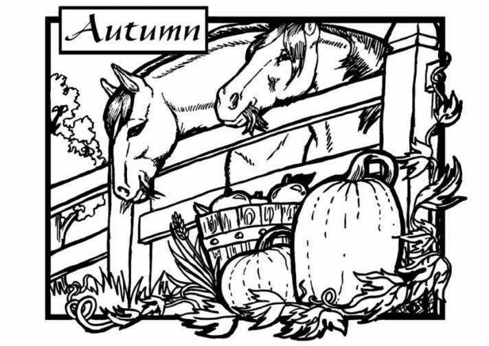 Un moment d'automne paisible avec des feuilles tombantes