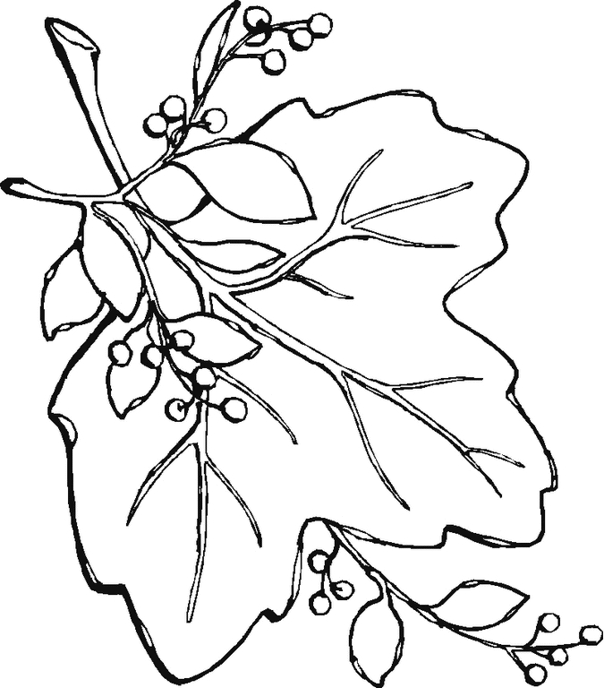 Un coloriage d'automne avec des feuilles et des fruits