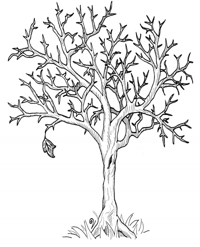 Un coloriage d'une scène automnale avec un arbre et des feuilles tombantes