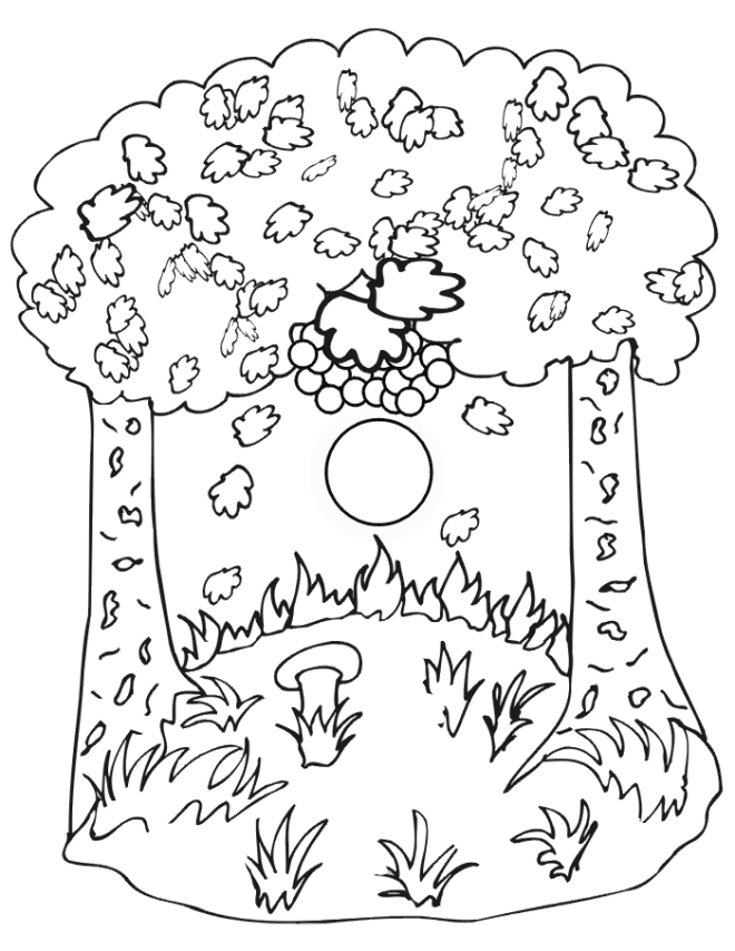 Un coloriage d'arbres et de feuilles en pleine saison d'automne
