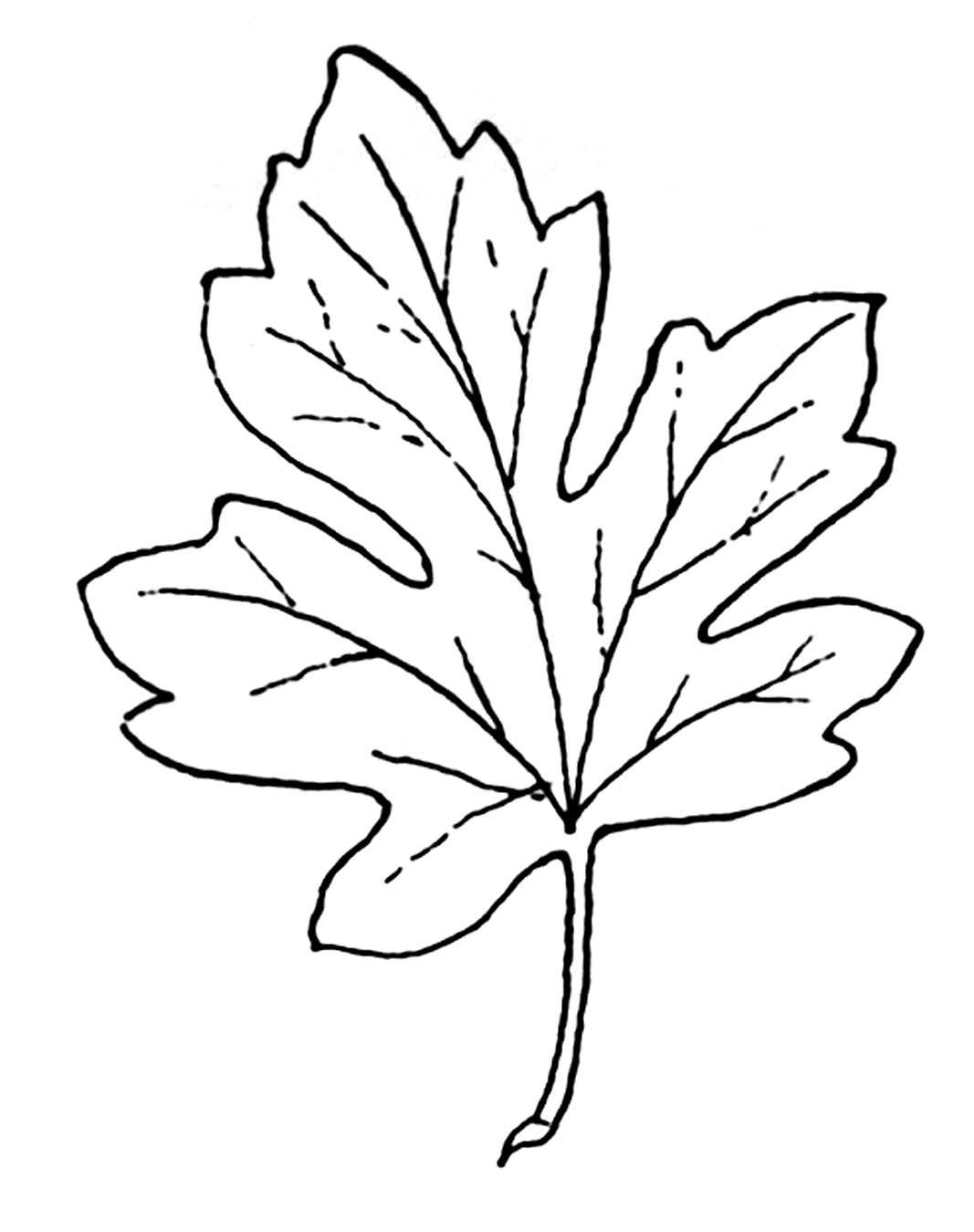 Coloriage d'une scène automnale avec des arbres et des feuilles tombantes