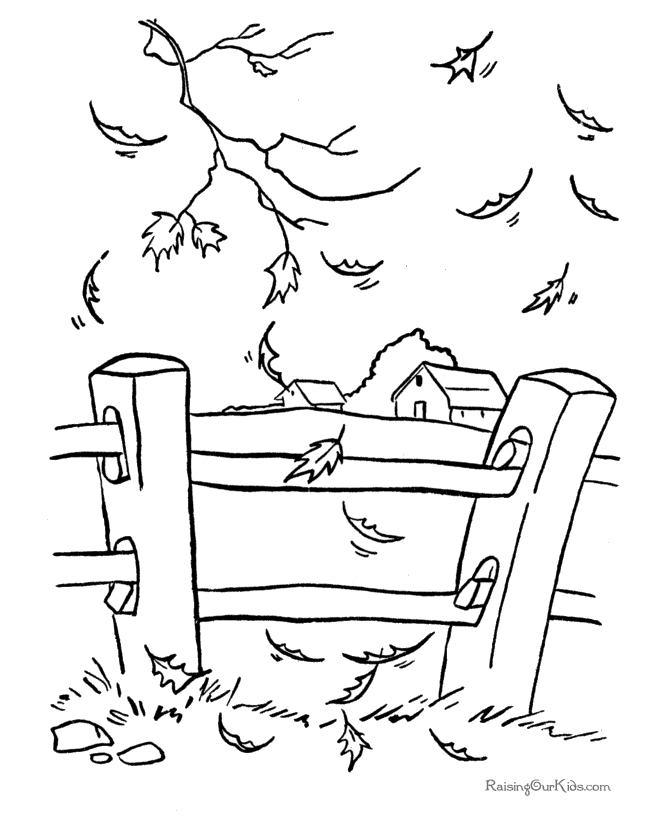 Scène automnale avec des arbres et un écureuil joueur