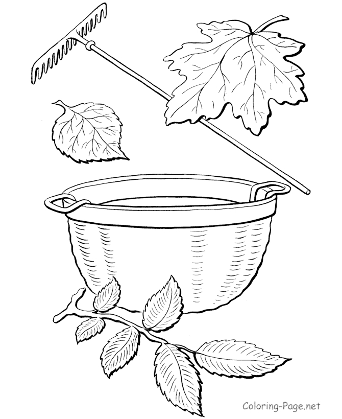 Coloriage d'une scène automnale avec des arbres et des animaux