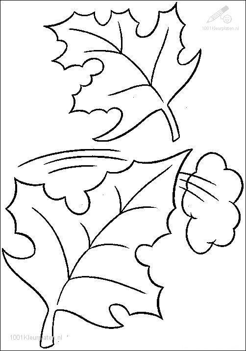 Un coloriage d'une scène automnale avec des arbres et des feuilles tombantes