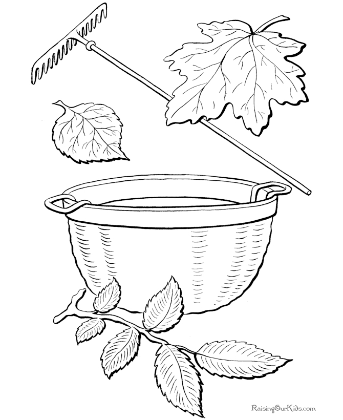 Coloriage d'une scène automnale avec des feuilles et des champignons