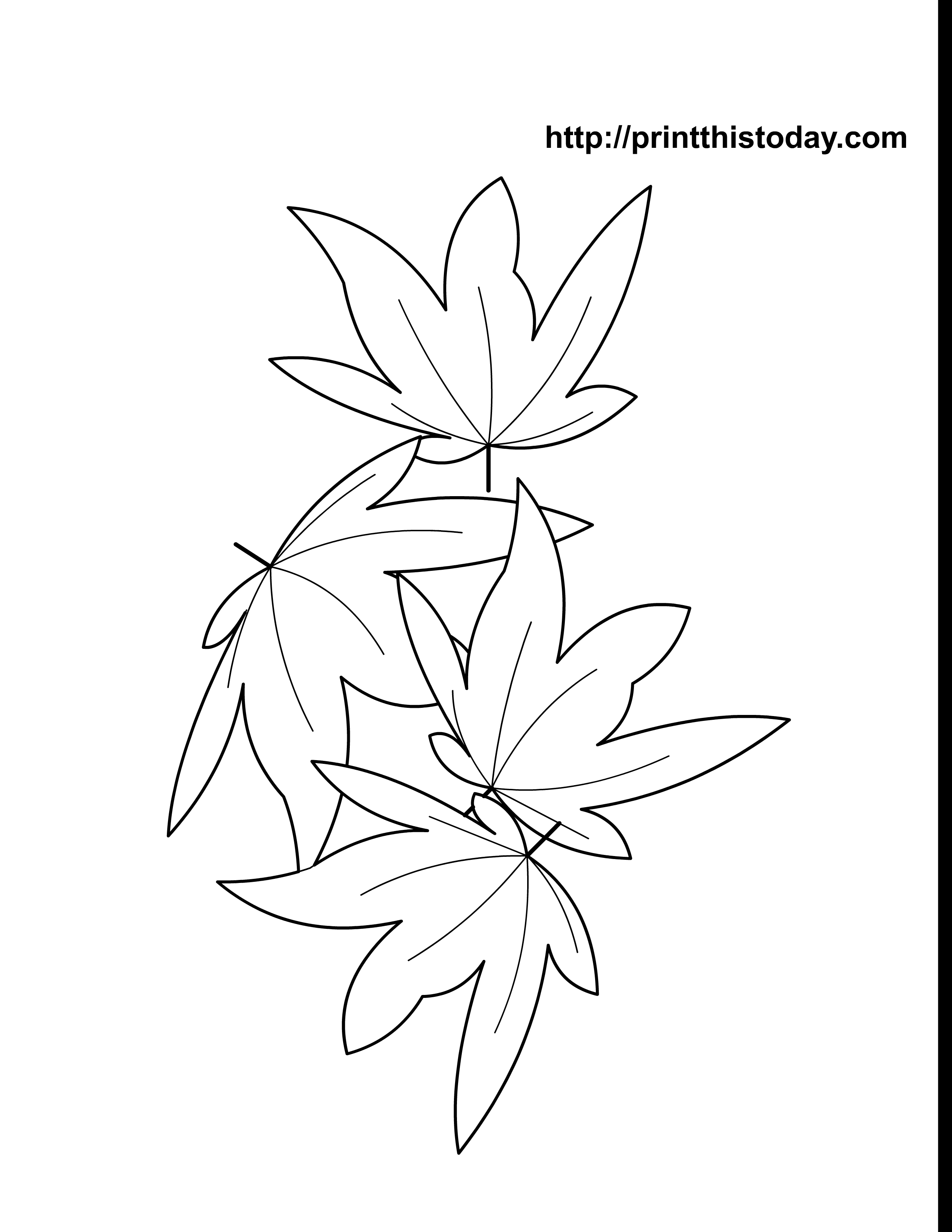 Coloriage de l'automne avec un arbre, des feuilles et un champ