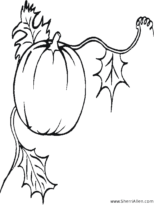 Un coloriage d'automne avec des feuilles et des champignons