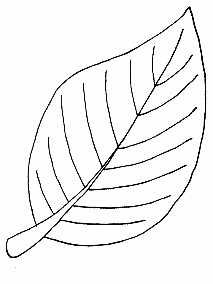 Coloriage d'une scène automnale avec des feuilles et un arbre