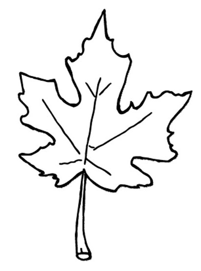 Un enfant heureux ramasse des feuilles d'automne dans un décor naturel