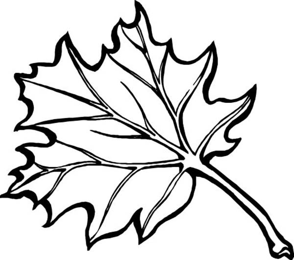 Coloriage d'une scène automnale avec un enfant jouant dans les feuilles