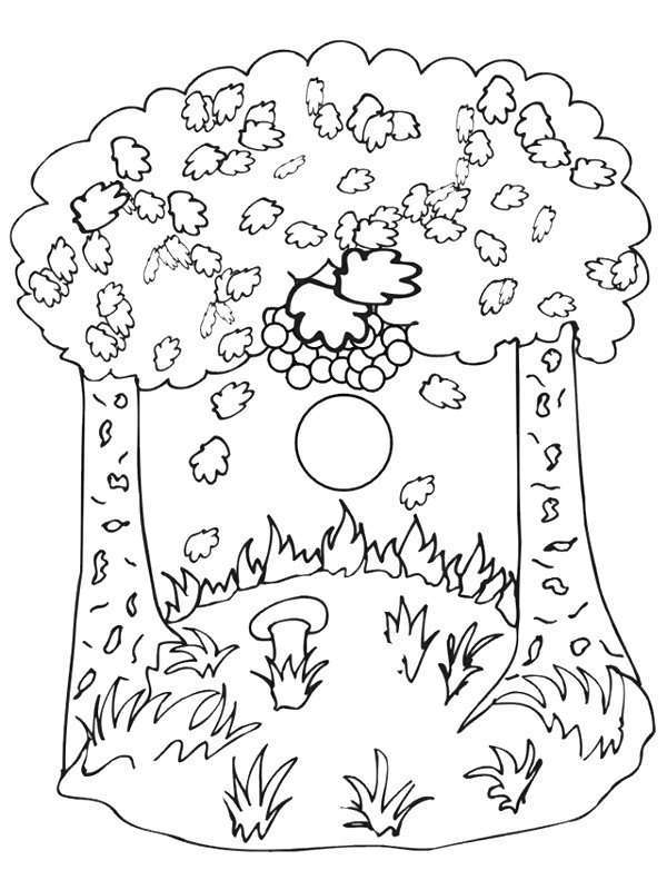 Scène d'automne avec un arbre, des feuilles et un écureuil