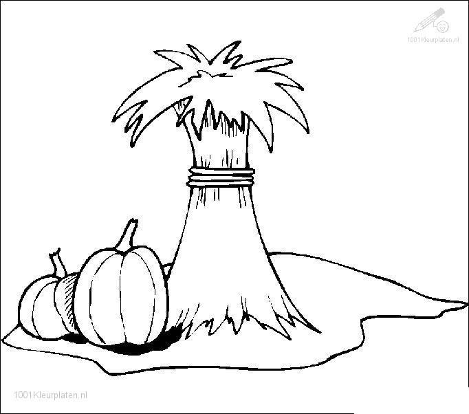 Scène d'automne avec un arbre et des feuilles tombantes