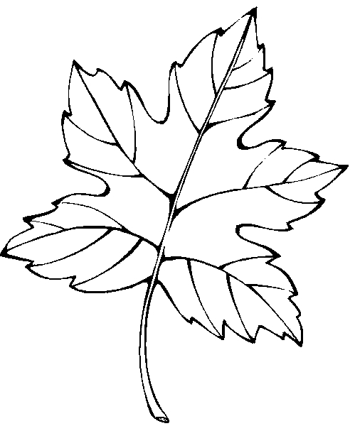 Scène de la saison automnale avec un arbre et des feuilles tombantes
