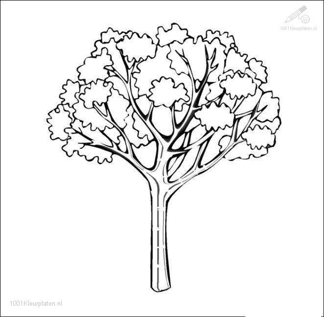 Scène d'automne avec un arbre, des feuilles et un écureuil