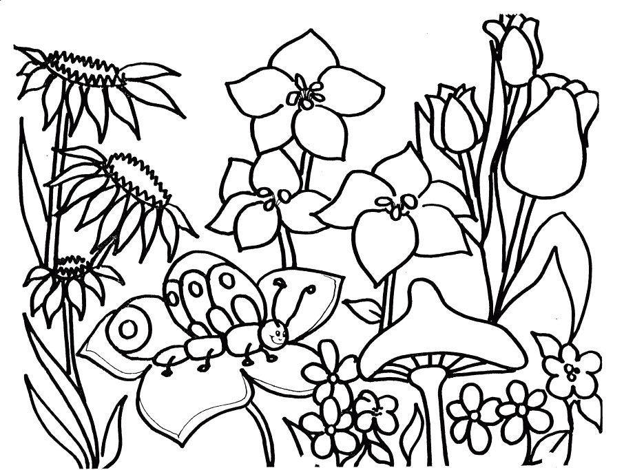 Scène printanière avec des fleurs et un papillon en plein vol