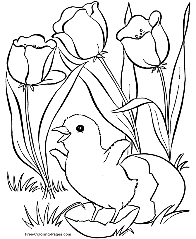 Coloriage d'une scène printanière avec des fleurs et des insectes