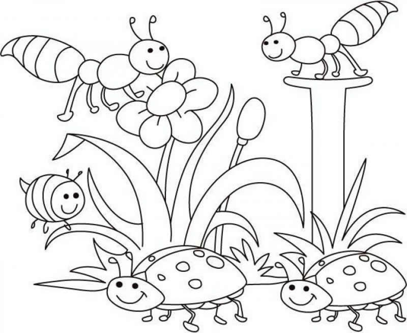 Un coloriage de printemps avec des fleurs et un papillon