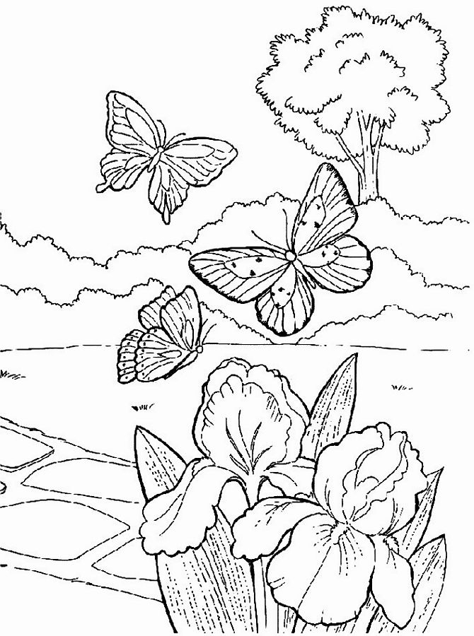 Un moment paisible de printemps avec un champ de fleurs et un papillon