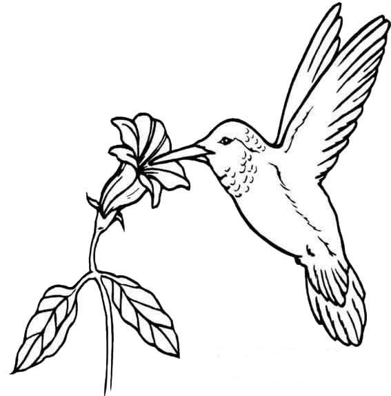 Scène printanière avec des fleurs et un papillon sur fond de verdure