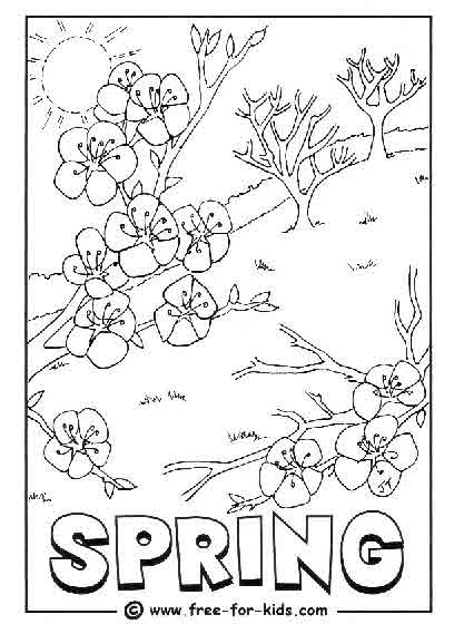 Un jardin printanier animé par des insectes et des fleurs
