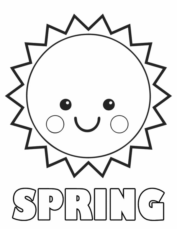 Un printemps animé avec des animaux et des fleurs