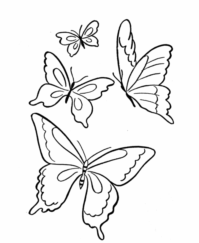 Un moment printanier avec un oiseau et des fleurs dans un jardin