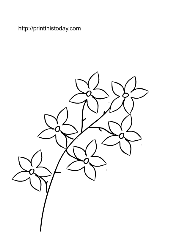Coloriage d'un paysage printanier avec des fleurs et un papillon