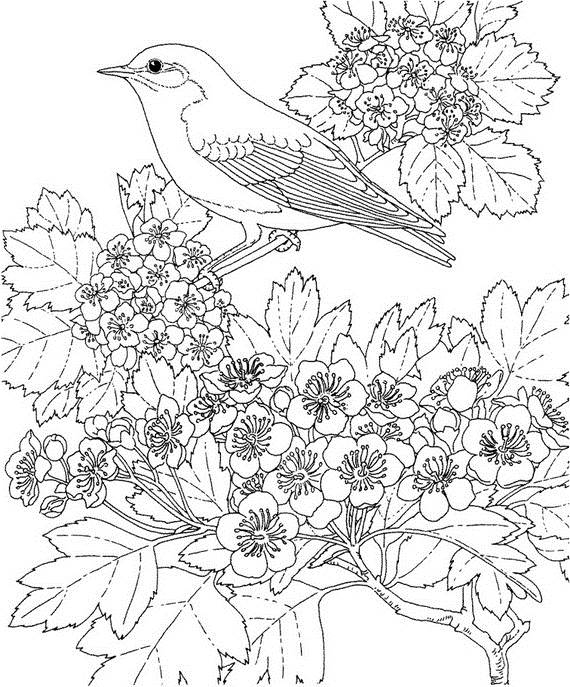 Un enfant s'amuse à colorier un jardin printanier avec des fleurs et un papillon