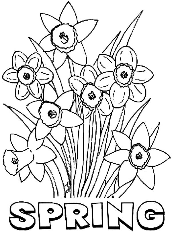 Un jardin printanier avec des fleurs et un papillon