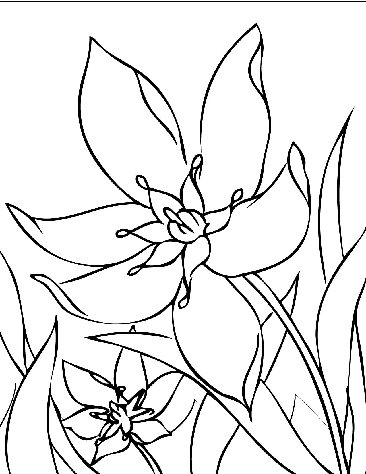 Un jardin printanier avec des fleurs et des insectes