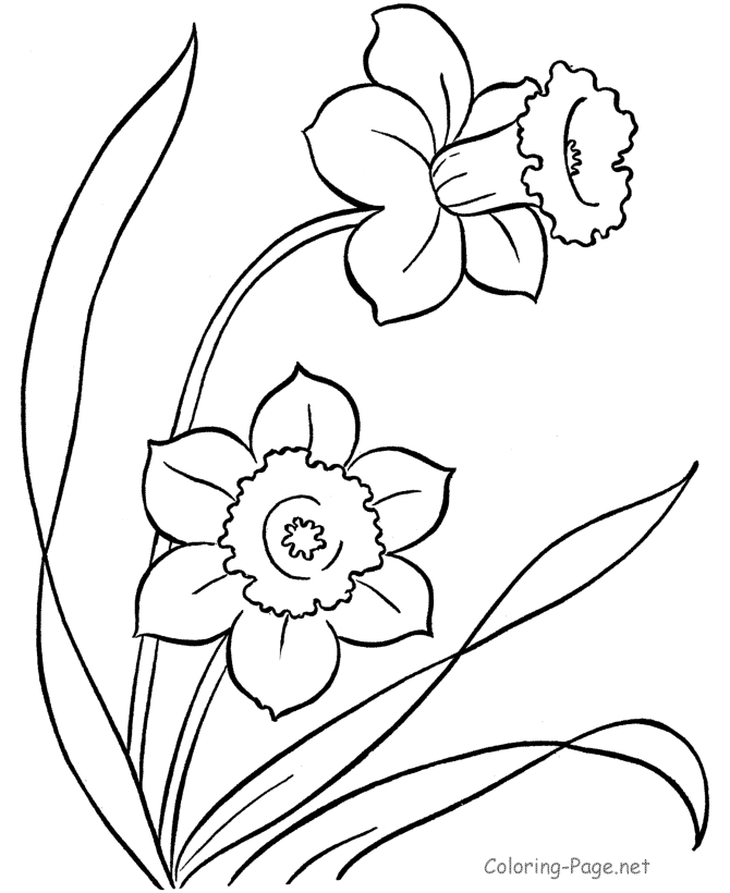 Un jardin printanier avec un enfant en pleine activité de coloriage