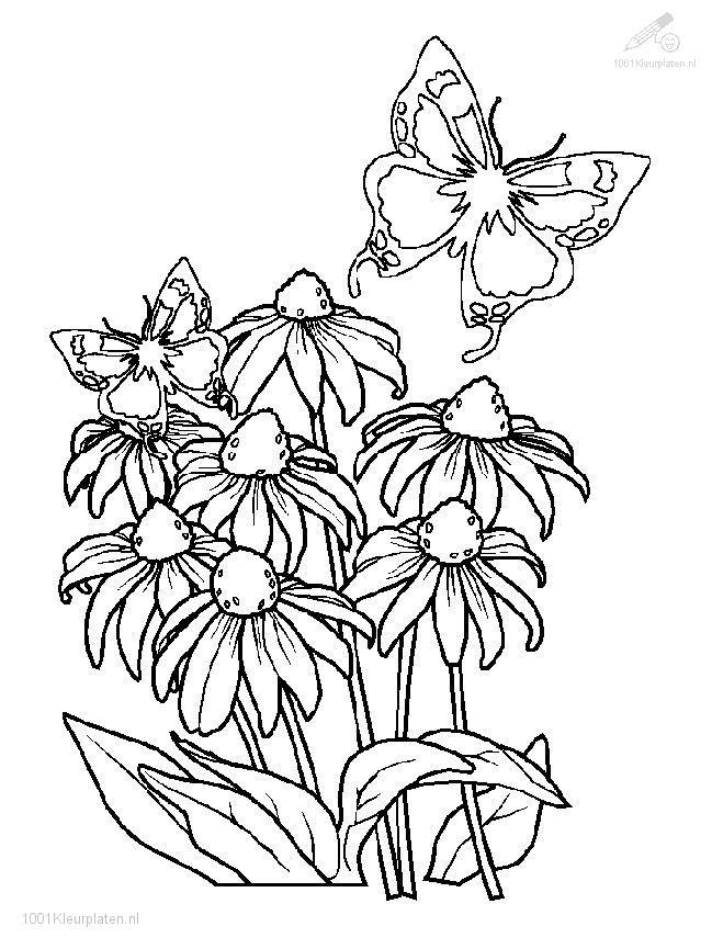 Un jardin printanier animé par des animaux et des fleurs