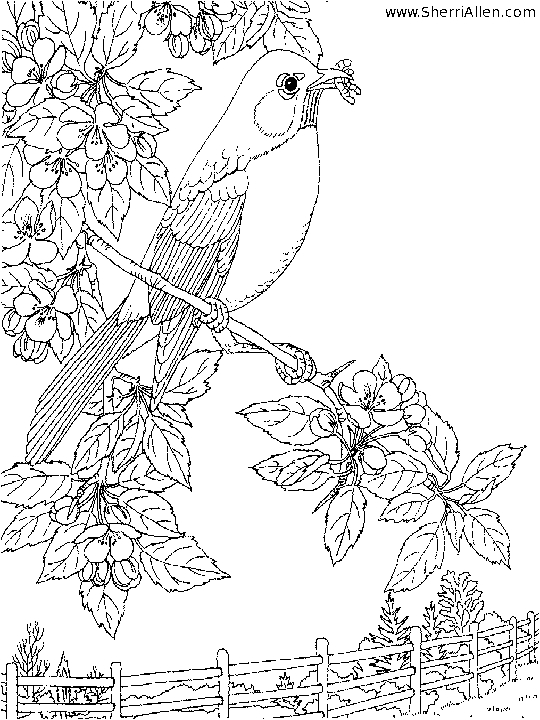 Coloriage d'un paysage printanier avec des fleurs et un papillon
