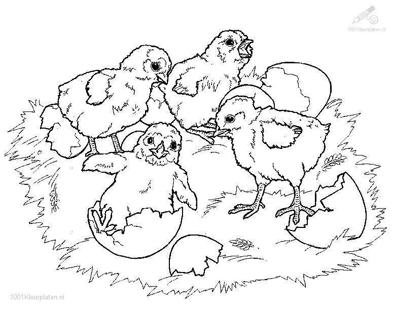 Scène de printemps avec un jardin fleuri et des animaux